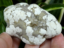 Rare Aluminite & Gypse Halle 6.5x4.5cm Allemagne ancien minéral pierre reiki