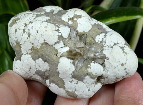 Rare aluminite gypse - rare, halle