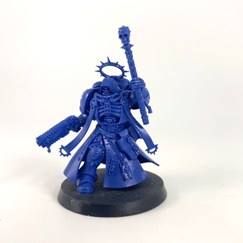Chapelain primaris - x1,