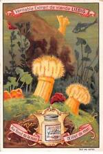 Chromos.AM15083.6x9 cm