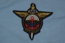 A510 insigne écusson 6e RPIMa