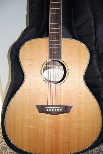 Washburn wg27se acoustic - wg27se,