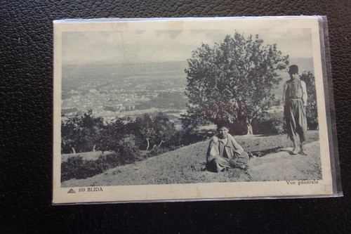 Algerie carte postale blida - carte,