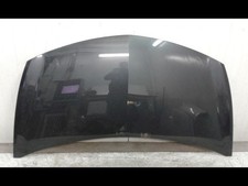 Capot Renault CLIO III (BR0-1, CR0-1) 1.5 dci (c-br0g, c-br1g) (2005-2012) 5 po