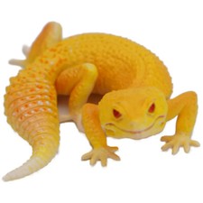 #F81-235 Kaiyoudo Capsule Q