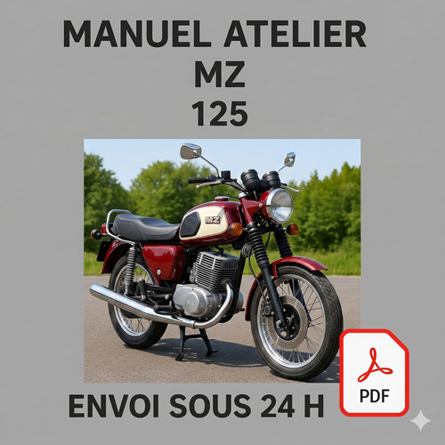 Manuel atelier 125 ts - mz,