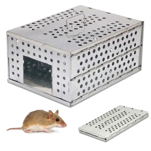 Piège rongeurs rats souris - piège,