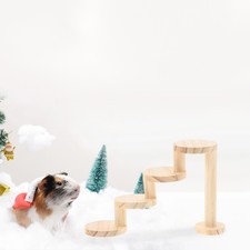  Intéressant Hamster Échelle