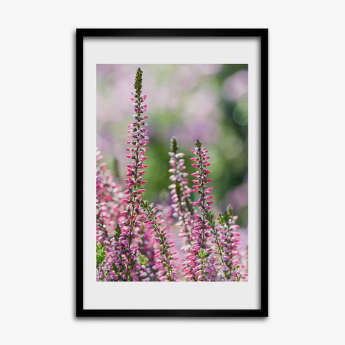 Tulup photo salon - tulup, 40x60cm