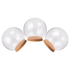  3 Pcs Vitrine Sous Dôme De