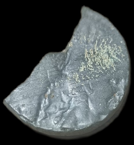 Demi dupondius nimes - demi,