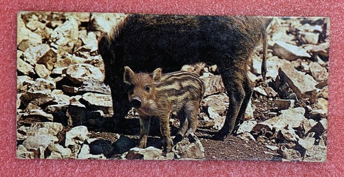 Carte merveilles monde - merveilles, du
