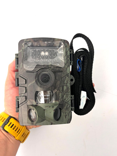 Trail cam wildlife - trail,