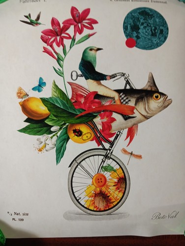 Monocycle fish beto val - monocycle,