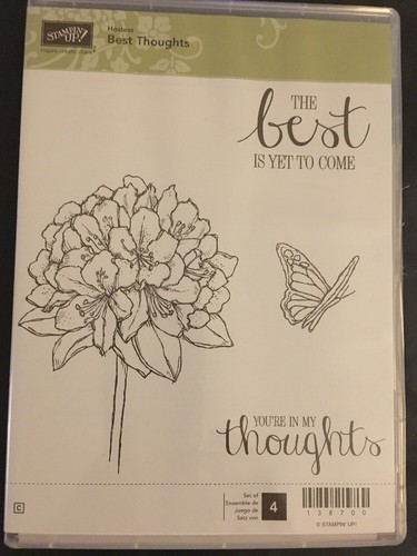 Set tampons stampin - de,
