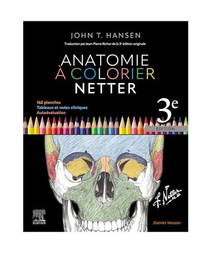 Anatomie colorier netter - colorier,