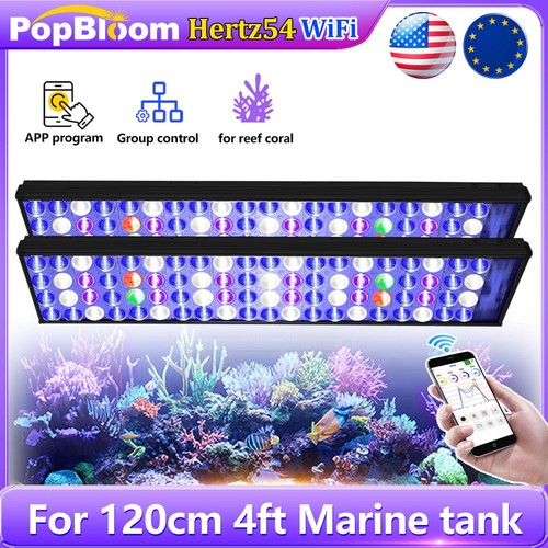 Popbloom éclairage aquarium - popbloom,