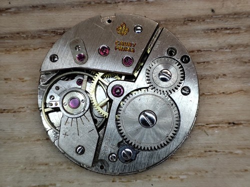 Cauny prima watch movement - watch,
