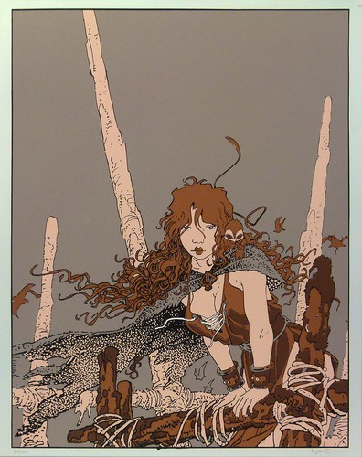 Loisel pelisse quete de - loisel,
