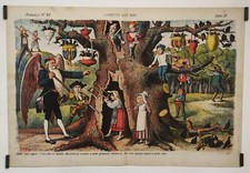 Grossi I rovescia nidi neri