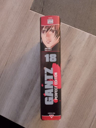 Gantz perfect edition - gantz, 18