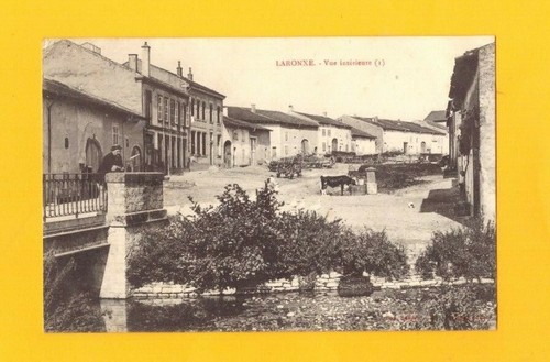 Laronxe bovins à - laronxe,