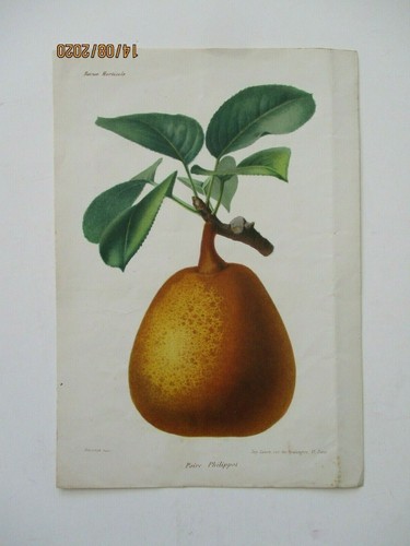 Gravure ancienne revue - gravure,