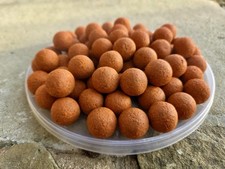 5kg  de bouillette carpe krill