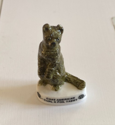 Feve chat americain - chat,