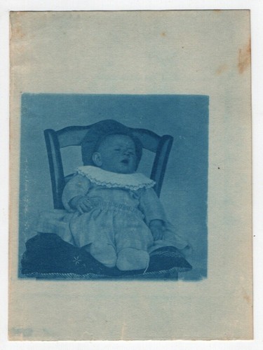 Photo anonyme cyanotype 1910 - photo,
