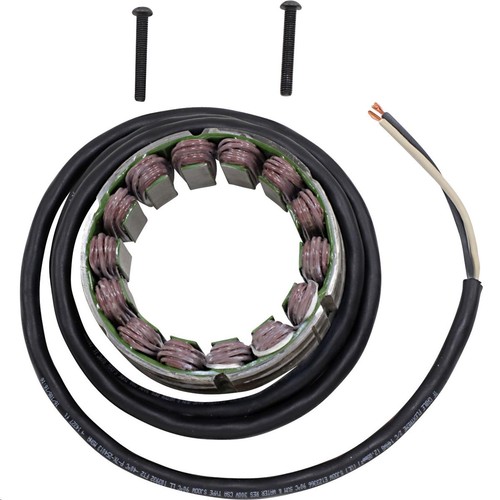 Rick motorsport stator - rick's,