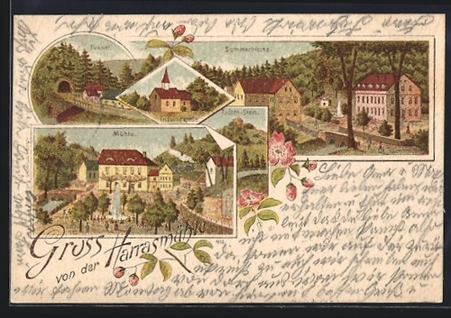 Lithographie neustadt orla - lithographie,