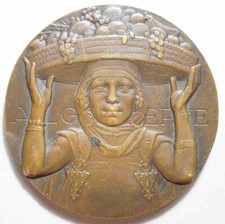 ASSEZ RARE MEDAILLE LANCEMENT