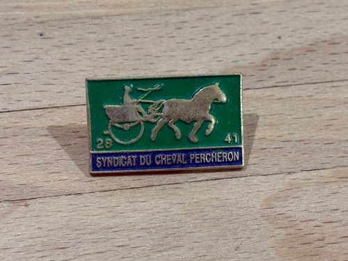 Pins pin cheval horse - ,
