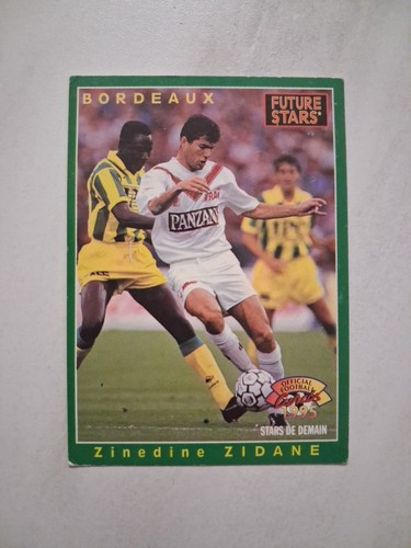 Zinedine zidane panini - zinedine,