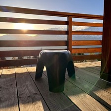 Rare "elephant stool " de Sori