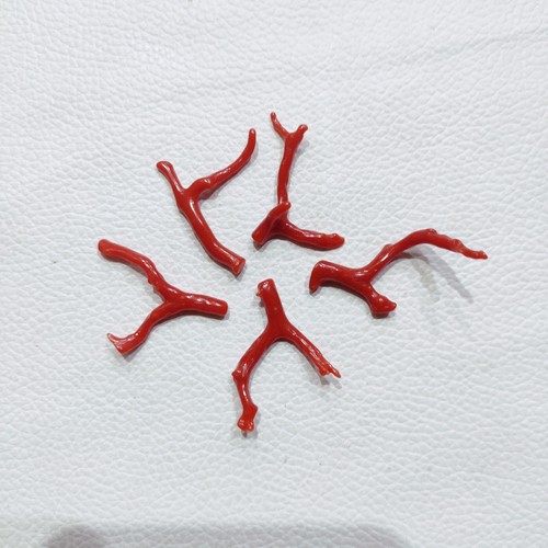Branche corail rouge polie - corail,