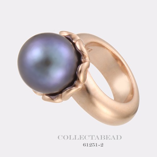 Authentic endless silver rose - endless,