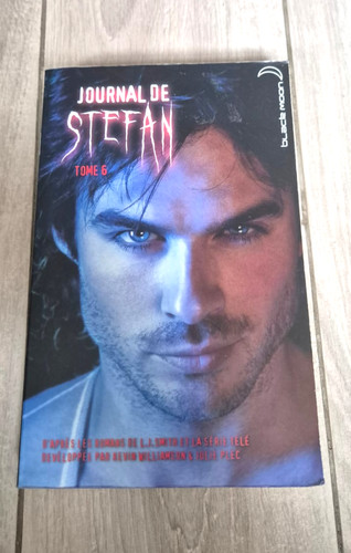 Journal stefan tome 6 - de,