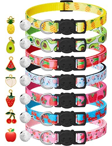 Pack collier chat avec - pack,