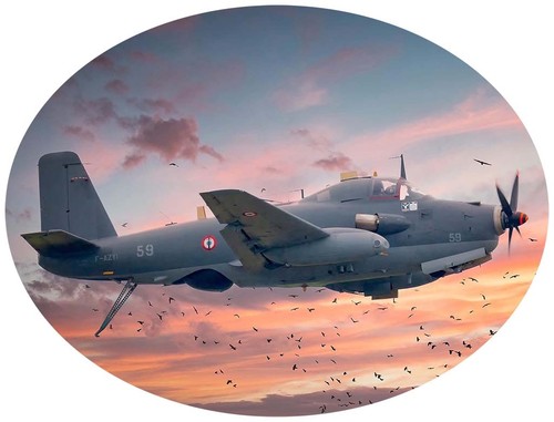 Autocollant breguet 1050 alize - breguet,
