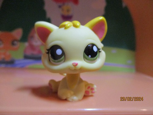 Petshop chaton 1649 - chaton, #1649