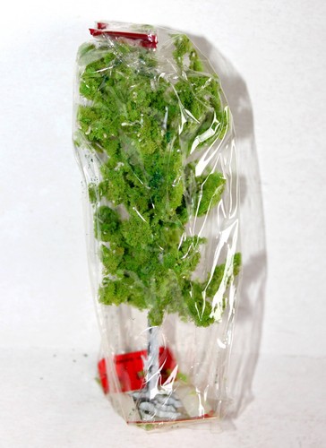 Busch arbre hetre - -,