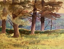 LE PEINTRE PAUL DENIS // DEBUT