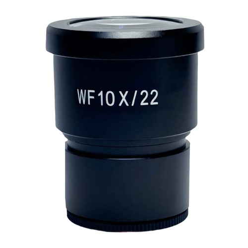 Oculaire microscope avec corps - oculaire,