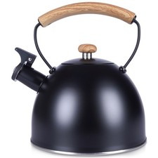 Bouilloire sifflante, acier