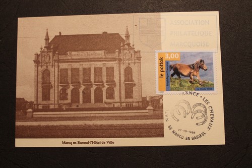 Carte postale chevaux - carte,