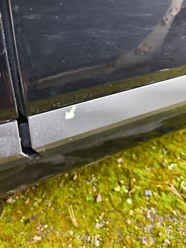 Porte arriere gauche - , renault