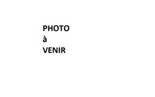 PLAYMOBIL (S5c09) RACING -