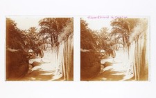 Algérie Oasis Biskra Photo Stereo L3n12 Vintage Plaque de verre 
